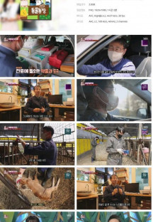 TV 동물농장.E1069.220515.1080p.H264-F1RST.mp4