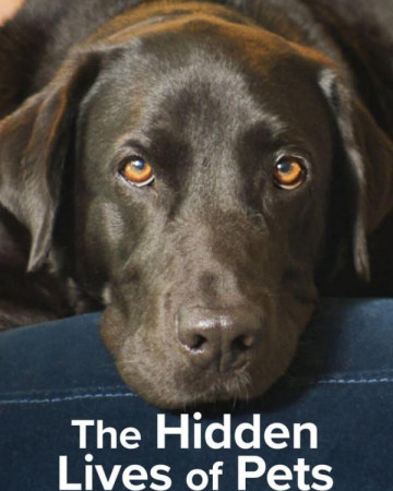 반려동물의 숨겨진 슈퍼파워 The.Hidden.Lives.of.Pets.S01.1080p.NF.WEBRip.DDP5.1.x26…